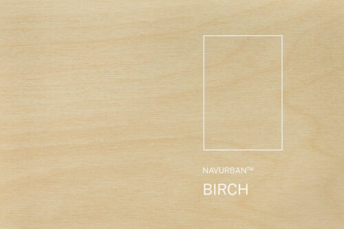 Birch-500x333